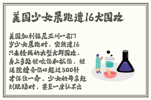 丝瓜app下载网址进入安卓免费